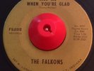 Michigan Garage 45 THE FALKONS Why Marianne/ Kiss Me FUJIMO VG++ PRIVATE TEEN