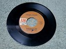 ROGER NICHOLS TRIO love song, love song US A&M RECORDS 7-inch 803