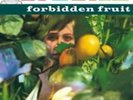Nina Simone-Forbidden Fruit Vinyl / 12