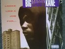 Big Daddy Kane Looks Like a Job For... LP Rakim Public Enemy Biz Markie
