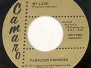 FABULOUS CAPRICES