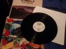 Vinile LP 33 giri Ligabue - Lambrusco Coltelli Rose & Pop Corn - Condizioni NM
