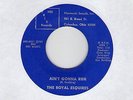 Killer Northern Soul (Hear) THE ROYAL ESQUIRES 