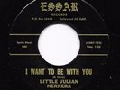Sweet Soul Low Rider Oldies 45 LITTLE JULIAN HERRERA Lonely Lonely Nights HEAR