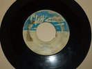 RARE ROCKABILLY 45 RPM RECORD - BOBBY ROBERTS & DELTA ROCKETS - SKY 101 -LISTEN