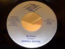 Harvell Guiton 45, My Dream rare unknown private press modern soul ORIGINAL