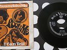THE YOUNGBLOODS I CAN TELL/FOOL ME 7