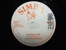 Dennis Brown/Aswad - Promised Land  12
