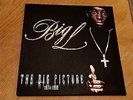 Big L – The Big Picture (1974 - 1999 ) 2 lp ( incl ois ) 