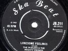 THE WAILERS/SKINHEAD REGGAE/SKA BEAT 45/LONESOME FEELING - THERE SHE GOES..RARE