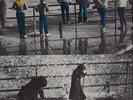 Ben Watt North Marine Drive NEAR MINT Cherry Red Vinyl LP
