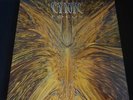 Cynic 