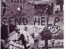 SEND HELP   Sex With Sheep EP. 1983 US punk hardcore KBD 45 on MUTHA RECORDS.