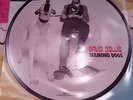 David Bowie Diamond Dogs Vinyl Picture Disc 40th Anniversary New Sealed
