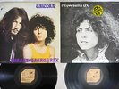 TYRANNOSAURUS REX BEARD OF STARS CUBE MW 9027,8 Japanese Pressing Vinyl 2LP