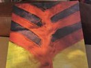 Yeah Yeah Yeahs - Show Your Bones LP On Vinyl