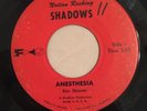 THE NATION ROCKING SHADOWS   ANESTHESIA   FS   Rare 60's FL garage