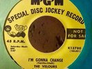 The Velours .Im gonna change/Don't pity me  (MGM Records)