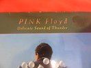 Pink Floyd- Delicate Sound Of Thunder. Original vinyl double LP  EMI 5009 VGC