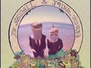 Reverse Shark Attack - Ty & Mikal Cronin Segall (2013, Vinyl NEUF)