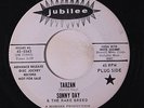 SONNY DAY & RARE BREED: Tarzan / Mushrooms And Moonbeams 45 (dj) Rock & Pop