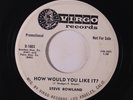 STEVE ROWLAND: How Would You Like It? / Dear Little Pen Pal 45 (dj, promo tol,