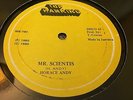 Horace Andy Mr Scientist Devon Irons Rare Killer Roots 12