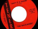 THE WAVE-RIDERS - AIN'T IT A SHAME  (M-) FLORIDA GARAGE PUNK 45 on TENER - HEAR