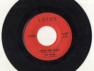 THE STAINS Now And Then 45 Garage Rock Primal Punk Fuzz Lotus Records 1966