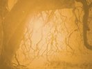 GOLDEN VOID - GOLDEN VOID  VINYL LP NEW+