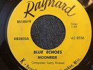 THE BLUE ECHOES Moonride RAYNARD Wisconsin Surf Rocker Instrumental HEAR