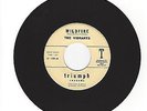 RARE SURF INSTRUMENTAL ROCKER- VIBRANTS- 