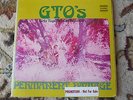 GTO'S PERMANENT DAMAGE-PROMO-W/ BOOK-WHITE LABEL-STRAIGHT INNER SLEVE-GATE FOLD