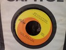 the beatles record of 7