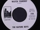 NATURE BOYS: Watch Yourself / Do The Temptation 45 (dj, xol) Soul