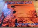 LP * Black Train Jack You're Not Alone * Roadrunner Records RR 9017-1 * 1994