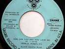 BLACK EARTH PLUS 45 How Can You Say You Love Me RARE FUNK Calgar c2032