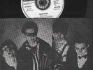 Damned-new rose.7