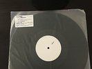 Hotel Books - Run Wild, Young Beauty TEST PRESS /15