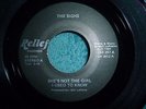 POWER POP 45 THE SIGHS shes not the girl i used to know RELIEF 1982 NEAR MINT
