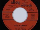 Northern Soul 45 UP TIGHTS Just A Dream ALLEY HEAR
