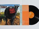 Blink-182 - Dude Ranch 12