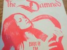 The Damned Night Of The Cobra 7
