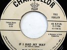 The PLAYBOYS 45 If I Had My Way / Duck Walk CHANCELLOR label DOO WOP e3424