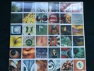 Pearl Jam - No Code vinyl LP Record Sealed NEW RARE 1996 Eddie Vedder McCready