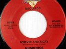 NUMONICS: Forever And A Day / Time Bring's About Changes 45 rare Soul