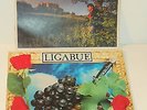 LUCIANO LIGABUE     --- lambrusco coltelli rose  &  pop corn  ---