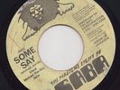 THE MAGICAL LIGHT OF SABA 45 MICHAEL RAS-STAR SOME SAY/SOME ROCK?