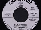 ROYALETTES: Blue Summer / Willie The Wolf 45 (dj) Vocal Groups