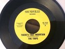 There's That Mountain  -  The Trips  - Soundville Records /M-